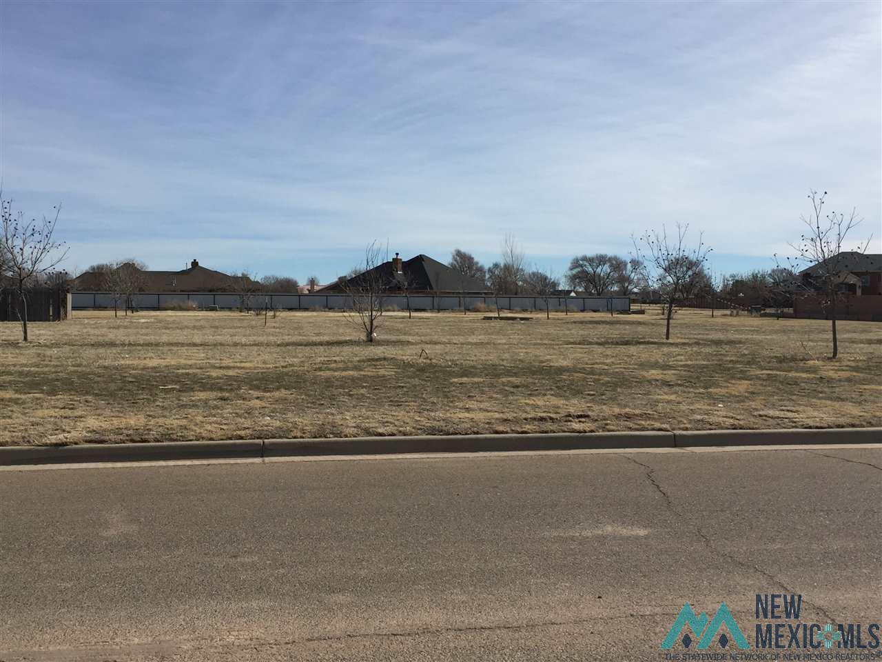 105 Colonial Parkway, Clovis, New Mexico image 1