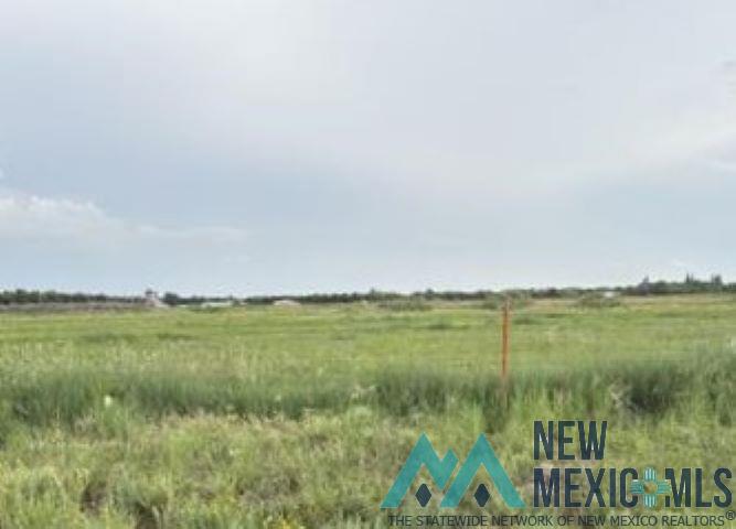 Dexter, New Mexico 88230, United States, ,Land,Active,177754