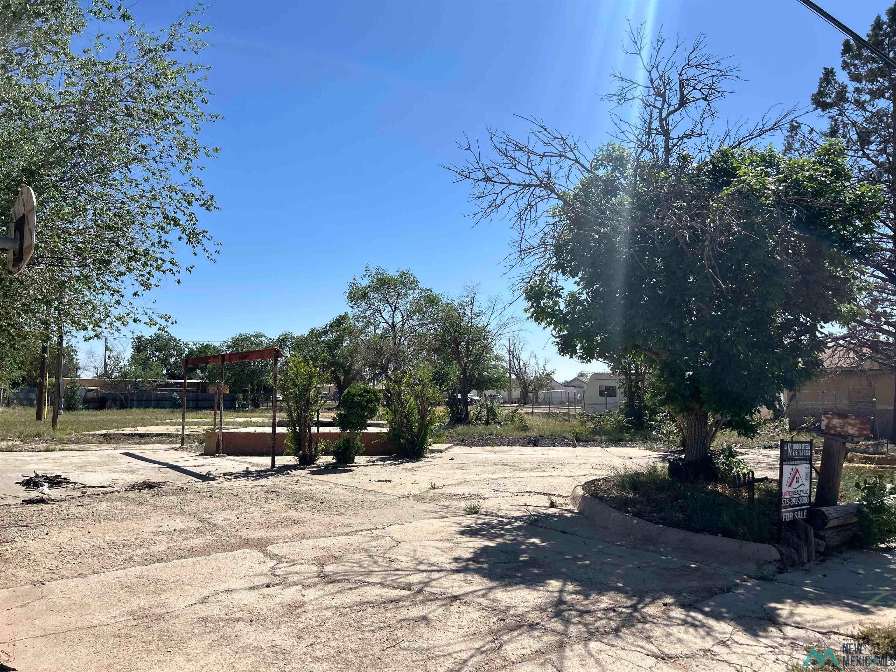 1411 E Dunnam St, Hobbs, Texas image 1