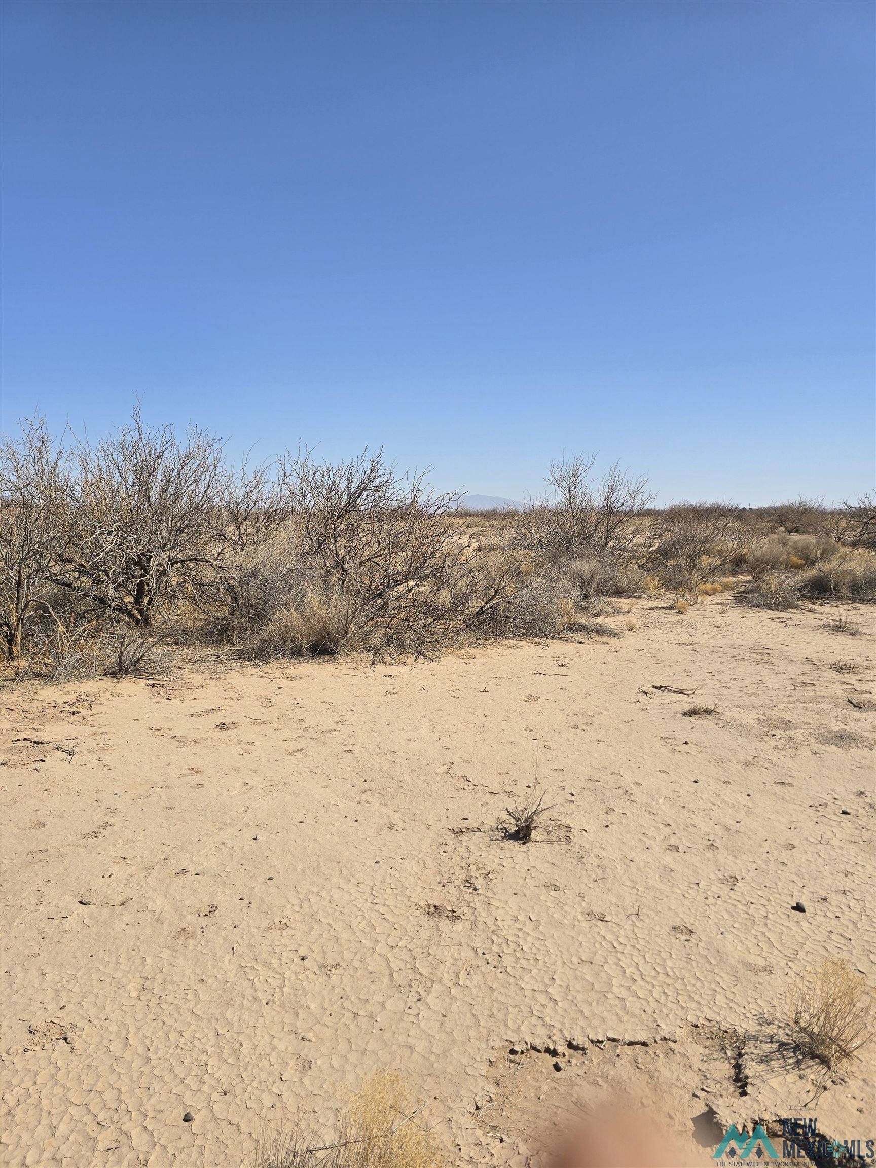 00 Rosa Rd Sw, Deming, New Mexico image 3