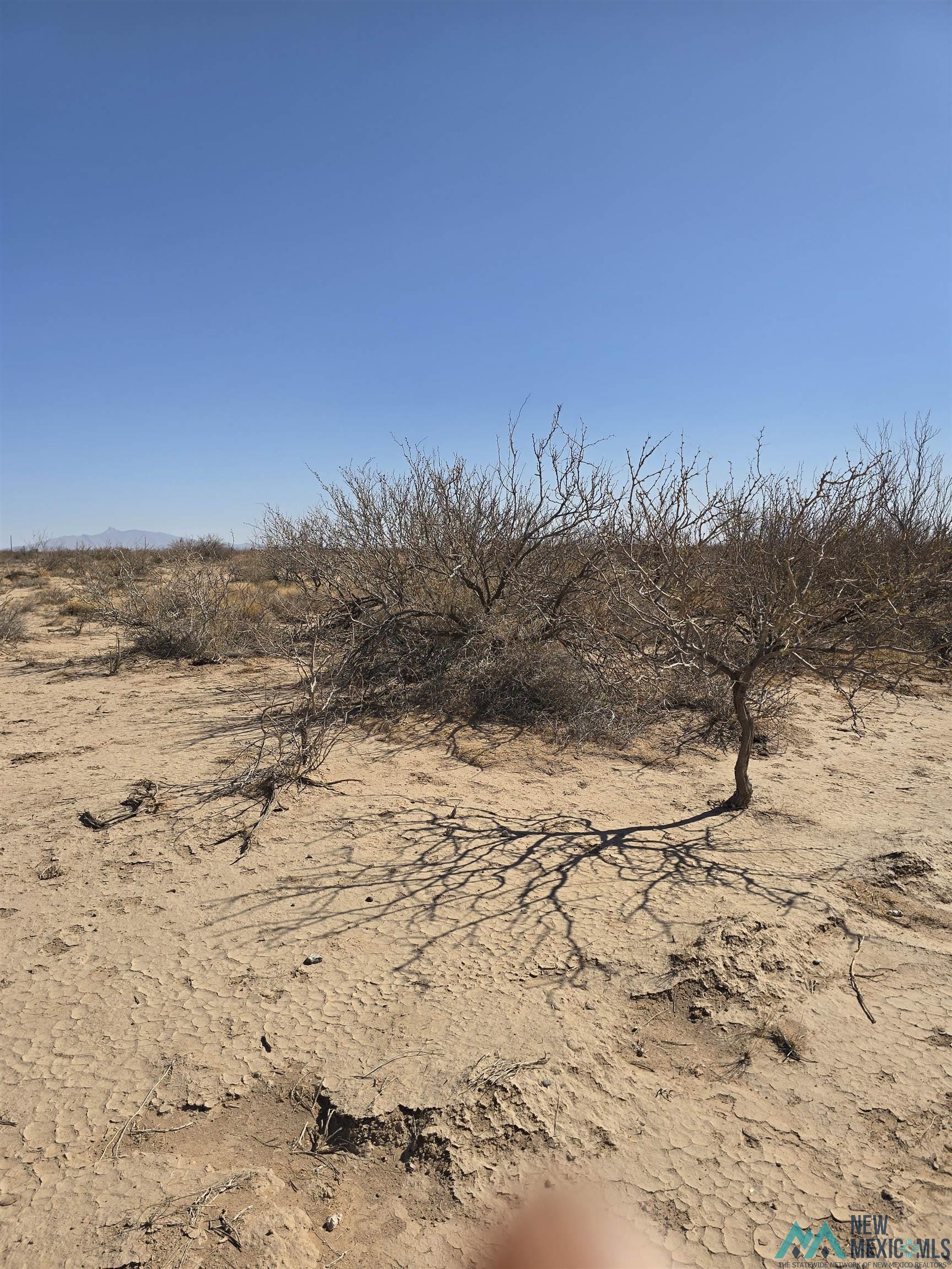 00 Rosa Rd Sw, Deming, New Mexico image 6
