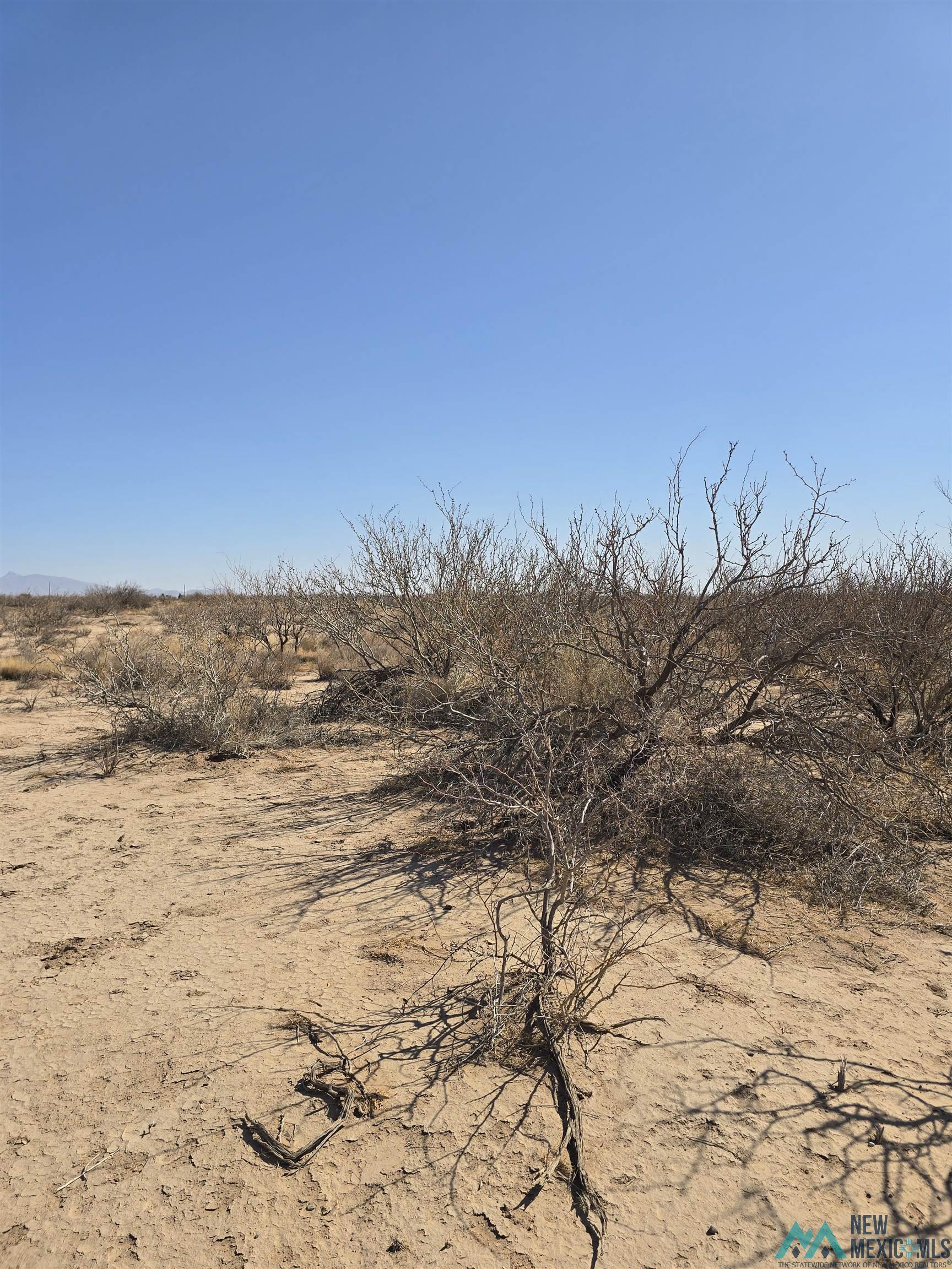 00 Rosa Rd Sw, Deming, New Mexico image 4