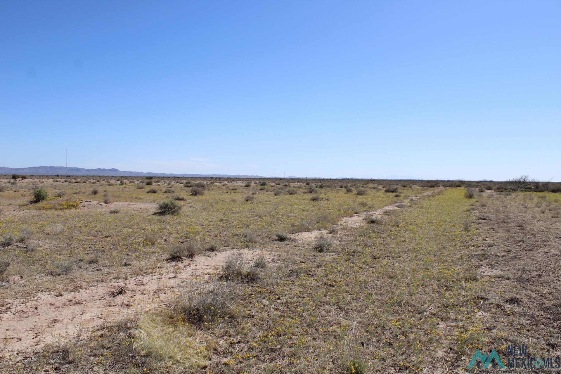 Lima Rd Se, Deming, New Mexico image 9