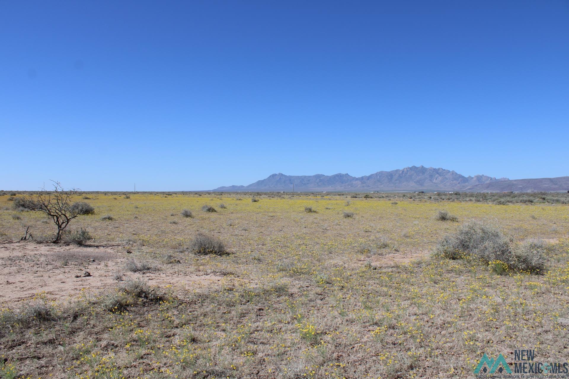 Lima Rd Se, Deming, New Mexico image 3