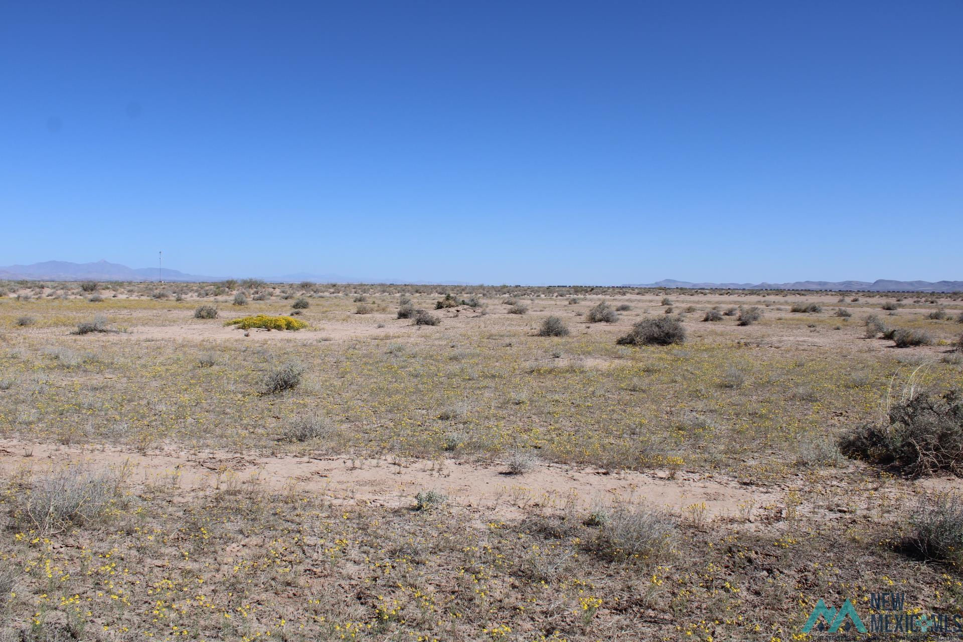 Lima Rd Se, Deming, New Mexico image 7