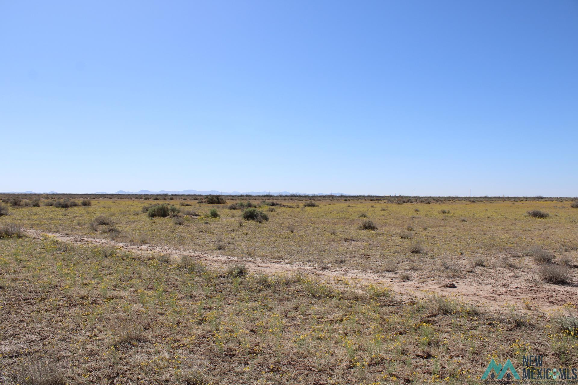 Lima Rd Se, Deming, New Mexico image 1