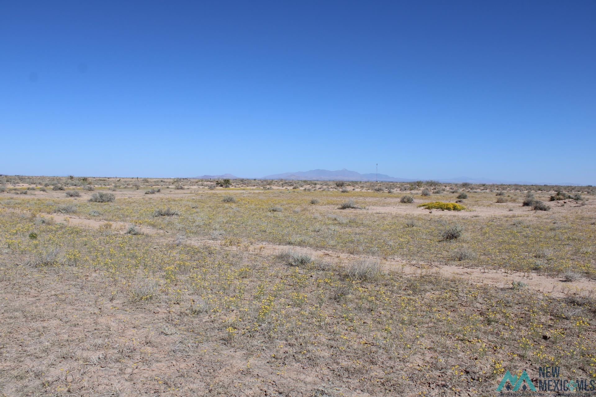 Lima Rd Se, Deming, New Mexico image 6