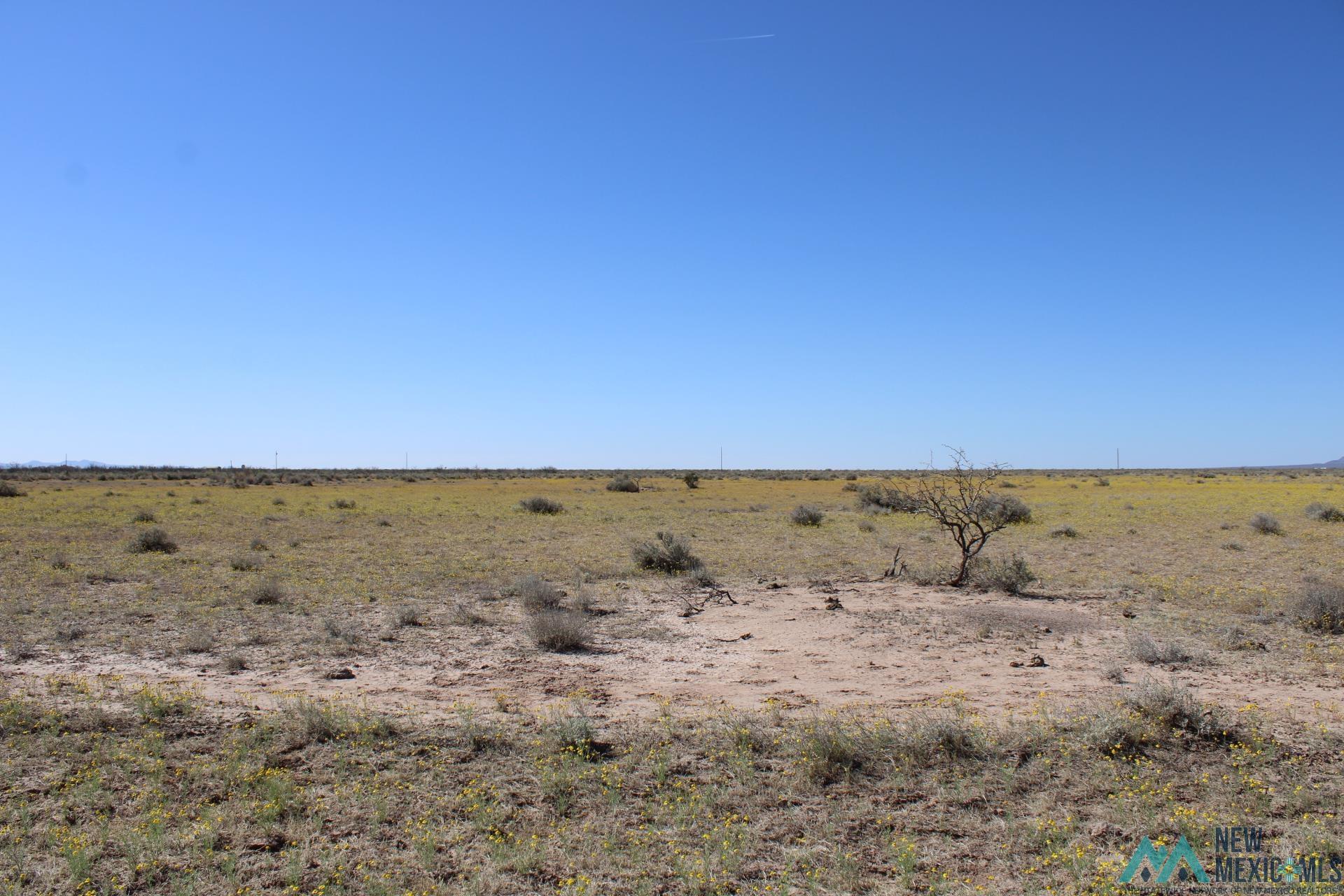 Lima Rd Se, Deming, New Mexico image 2