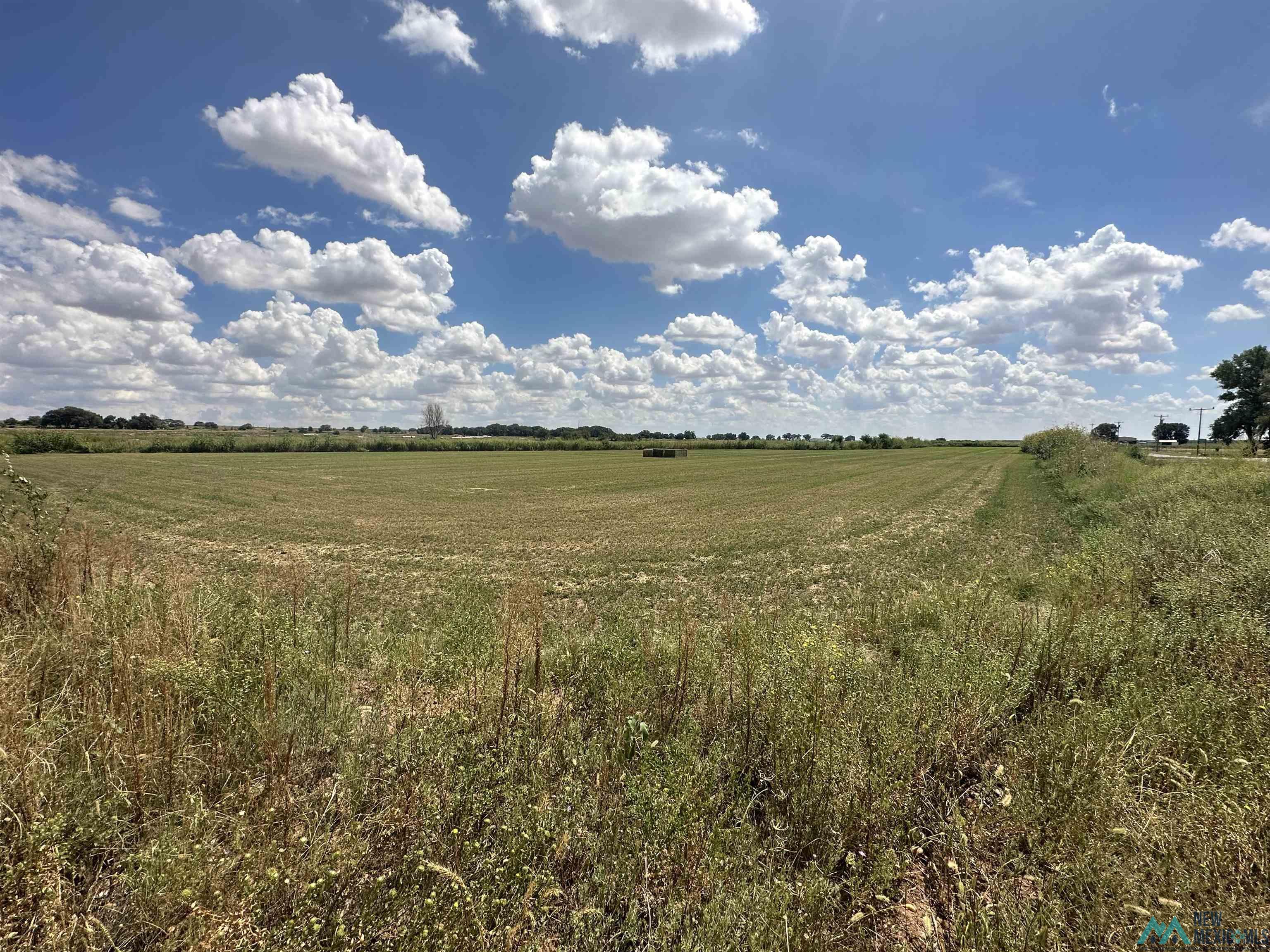 3645 Billy The Kid Road, Fort Sumner, Texas image 7