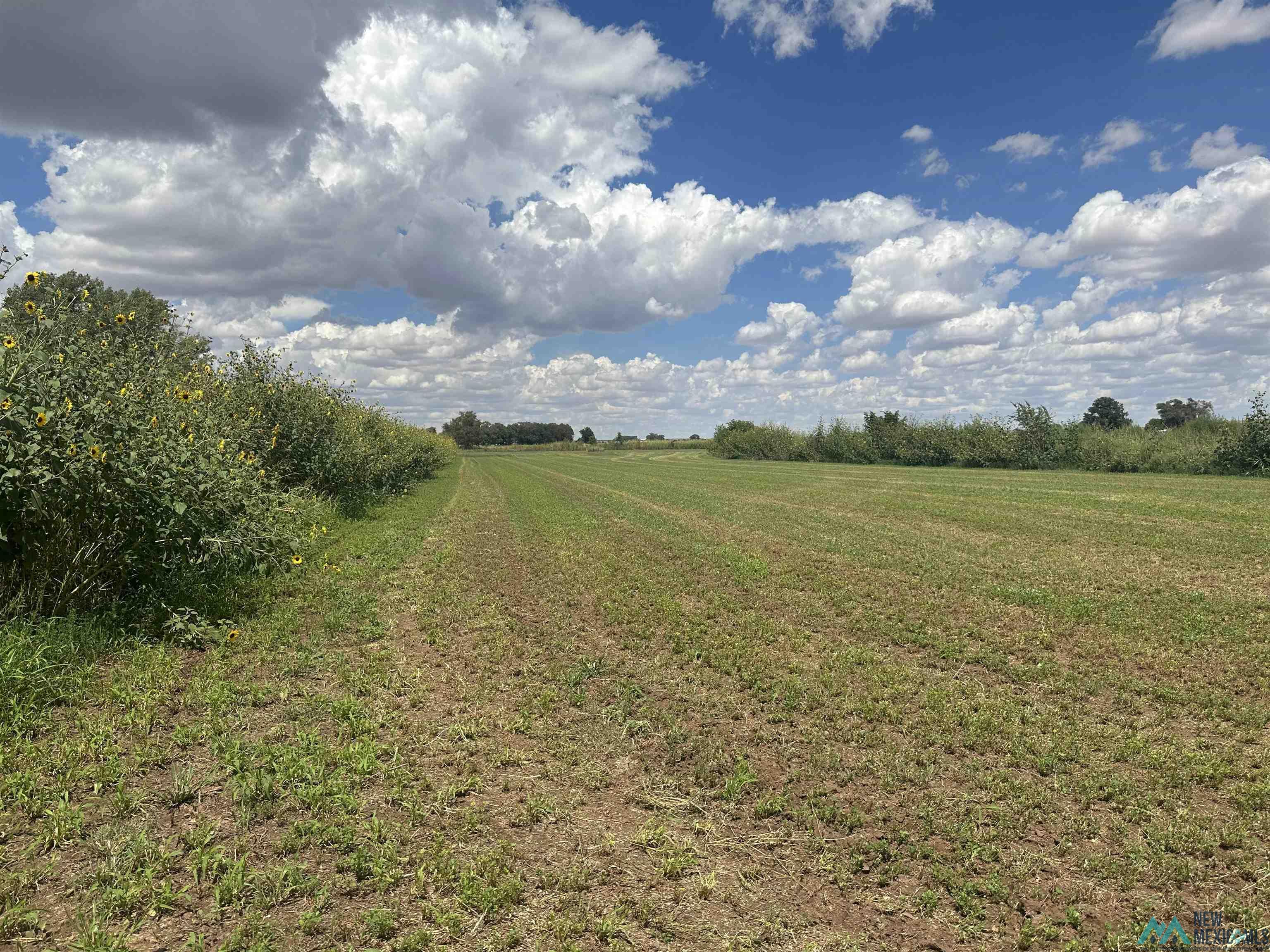 3645 Billy The Kid Road, Fort Sumner, Texas image 8