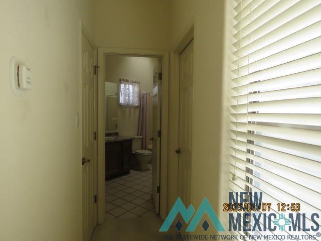 48 Armendaris Road, Elephant Butte, New Mexico image 30