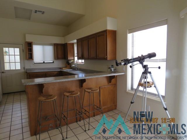 48 Armendaris Road, Elephant Butte, New Mexico image 5