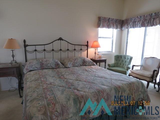 48 Armendaris Road, Elephant Butte, New Mexico image 24