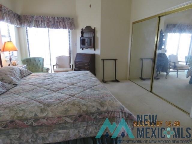 48 Armendaris Road, Elephant Butte, New Mexico image 22