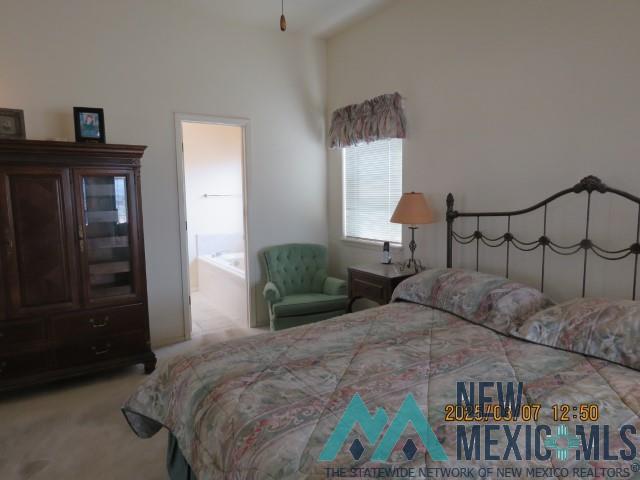 48 Armendaris Road, Elephant Butte, New Mexico image 25