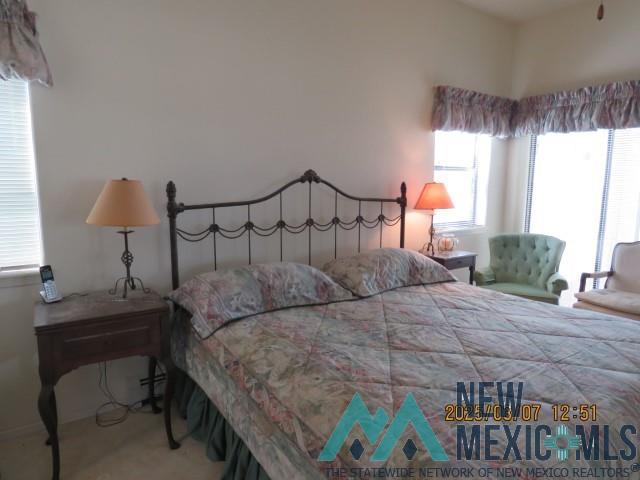 48 Armendaris Road, Elephant Butte, New Mexico image 27