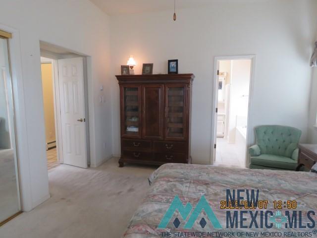 48 Armendaris Road, Elephant Butte, New Mexico image 26