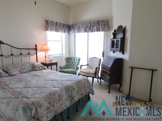 48 Armendaris Road, Elephant Butte, New Mexico image 23
