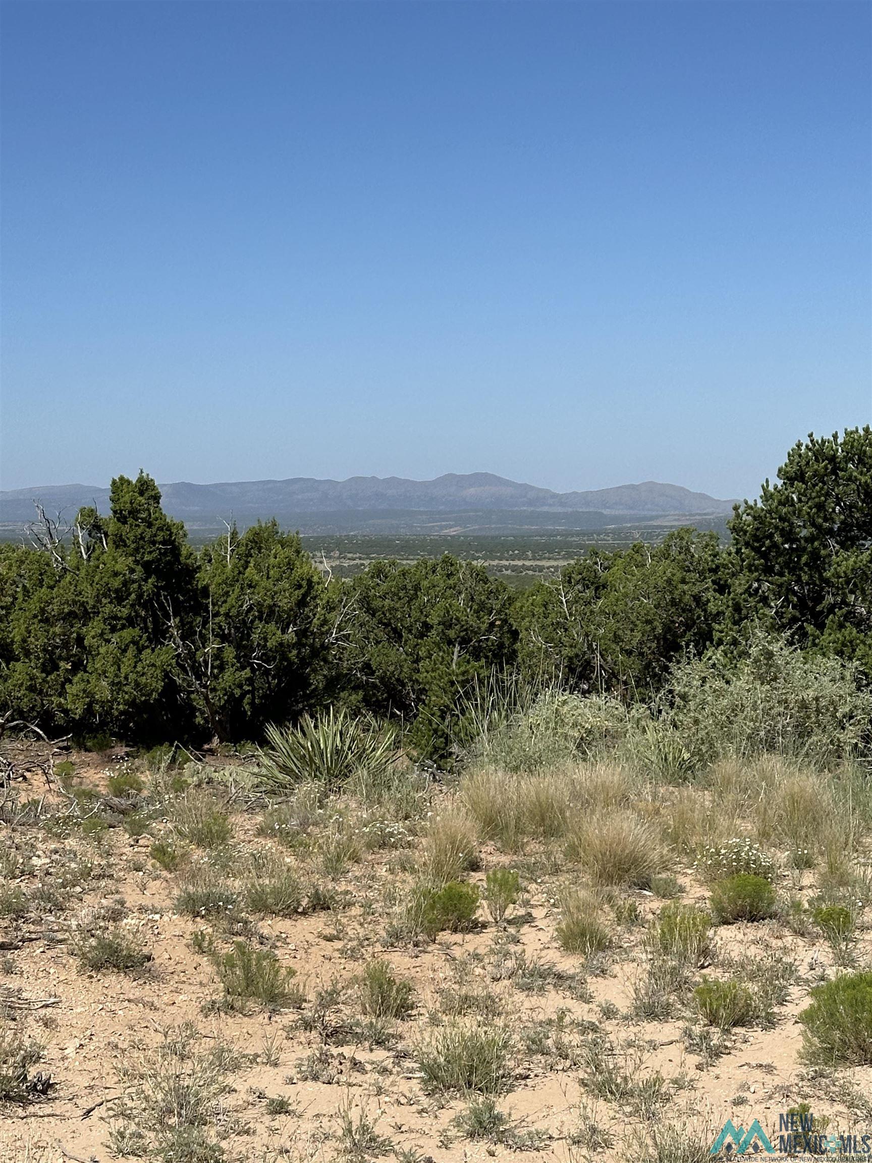 10 San Miguel Trail, Mountainair, Texas image 7