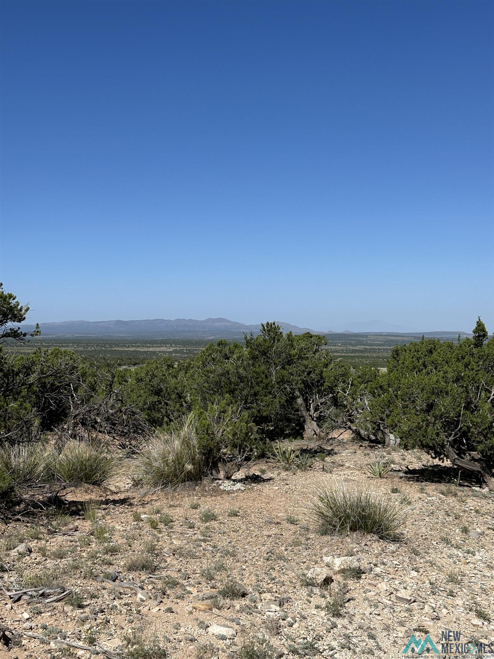 10 San Miguel Trail, Mountainair, Texas image 2