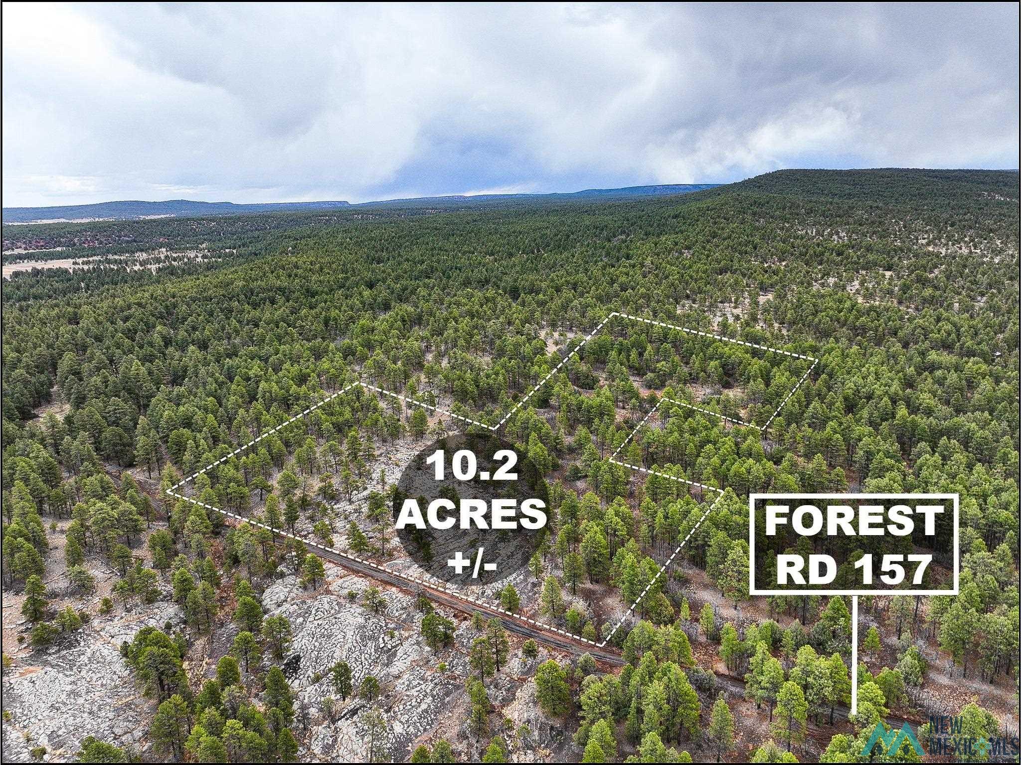 LOT 25A Forest 157 Road, Mcgaffey, Texas image 1