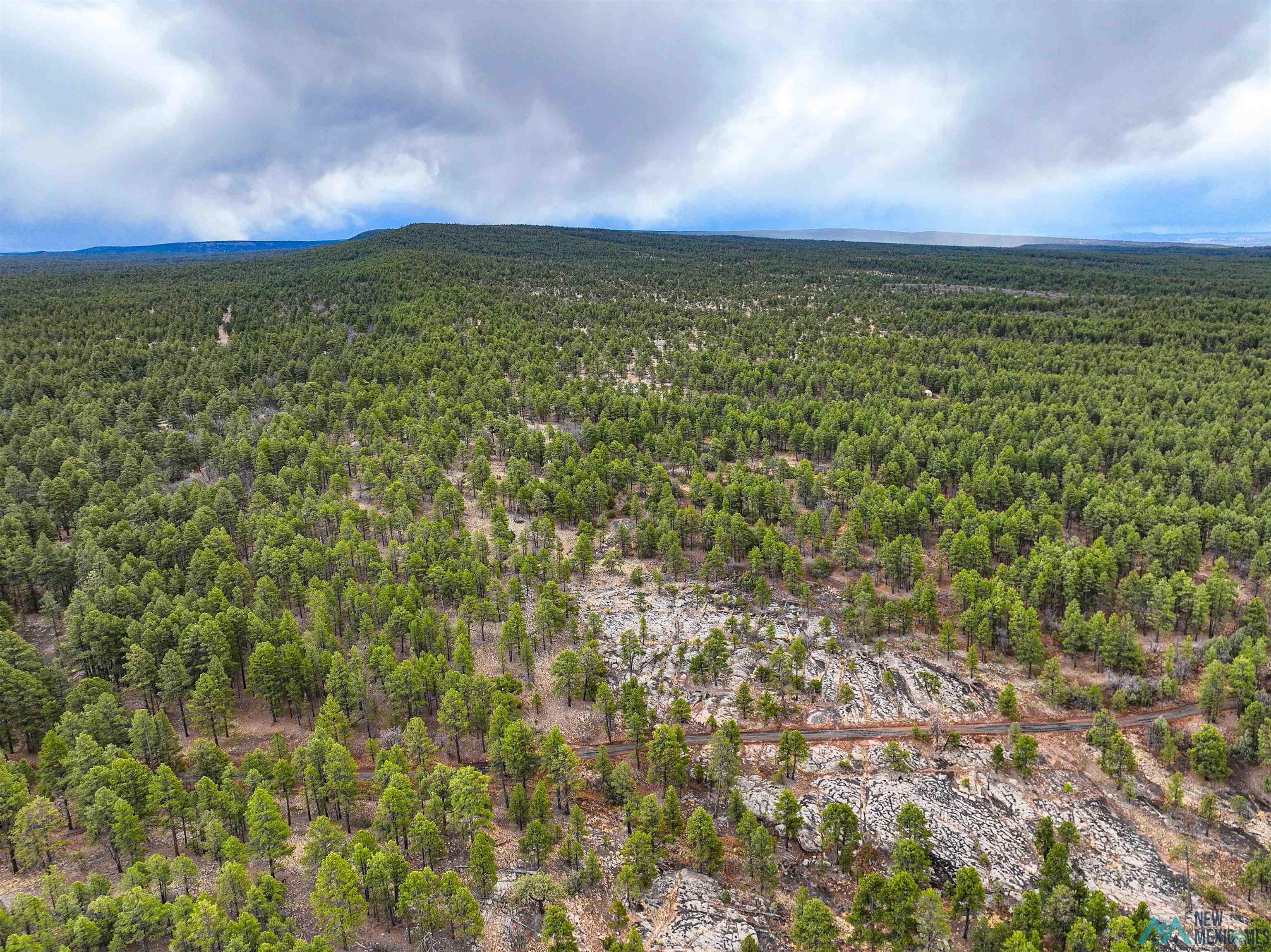 LOT 25A Forest 157 Road, Mcgaffey, Texas image 18