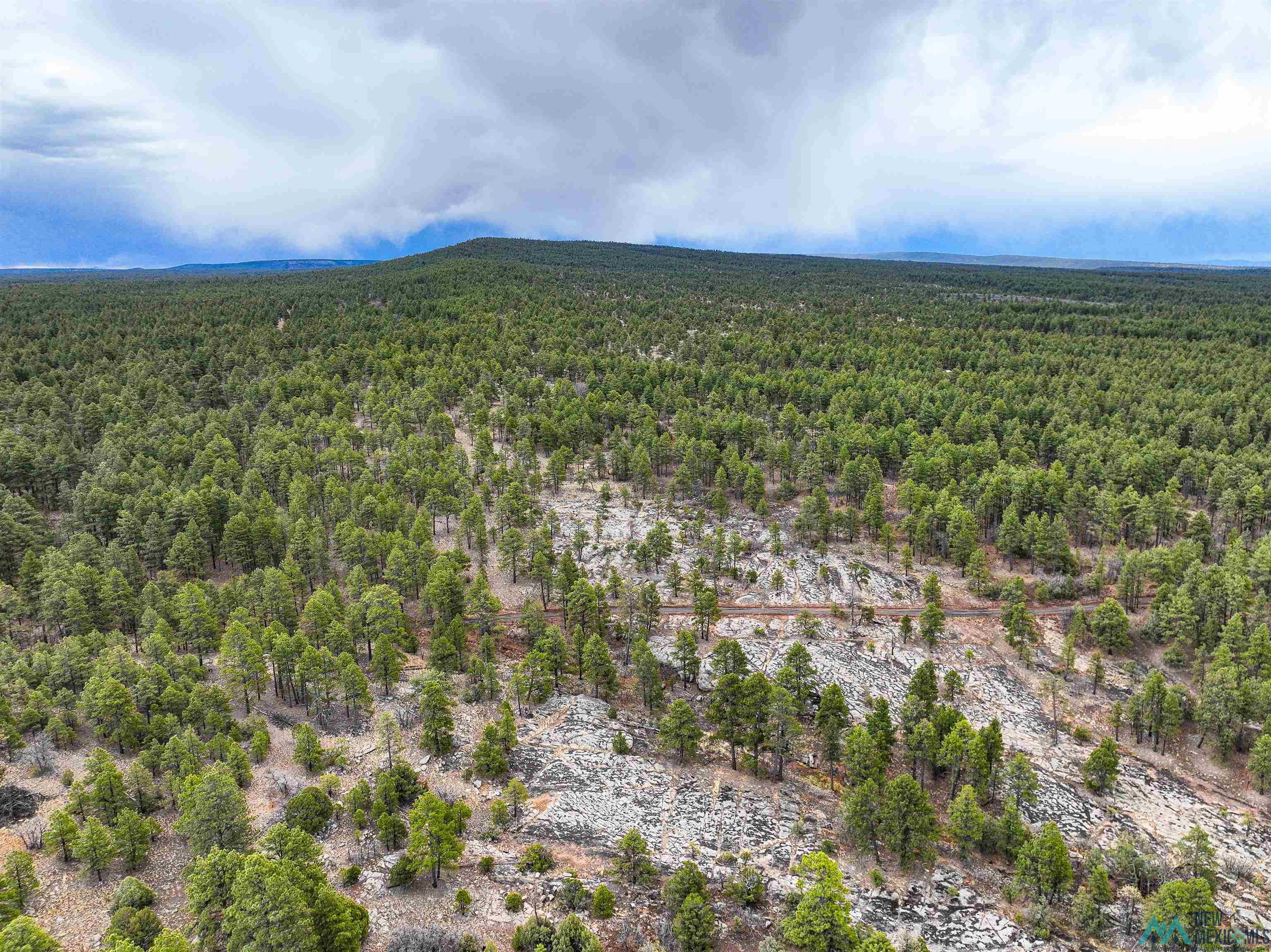 LOT 25A Forest 157 Road, Mcgaffey, Texas image 14