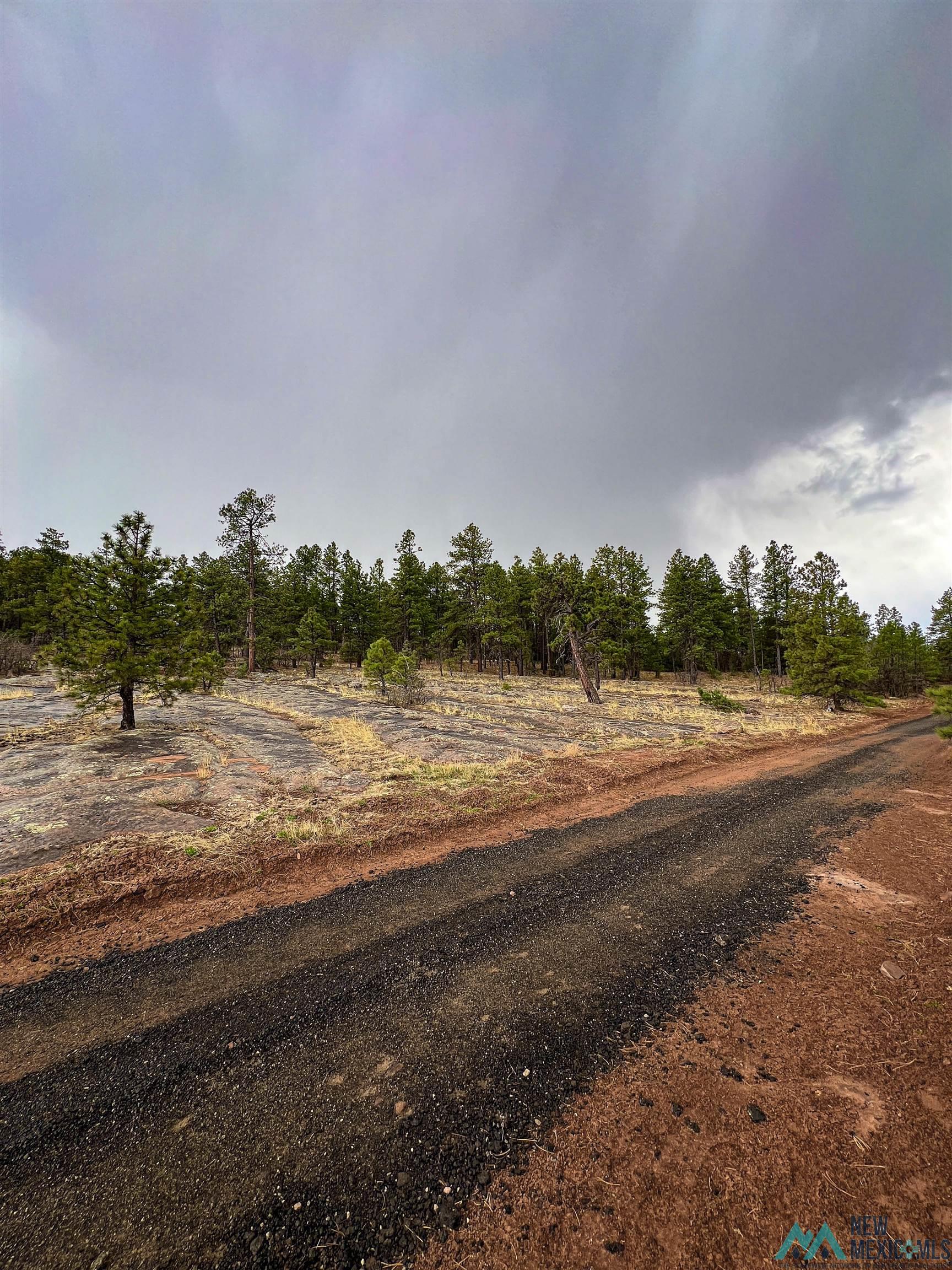 LOT 25A Forest 157 Road, Mcgaffey, Texas image 12