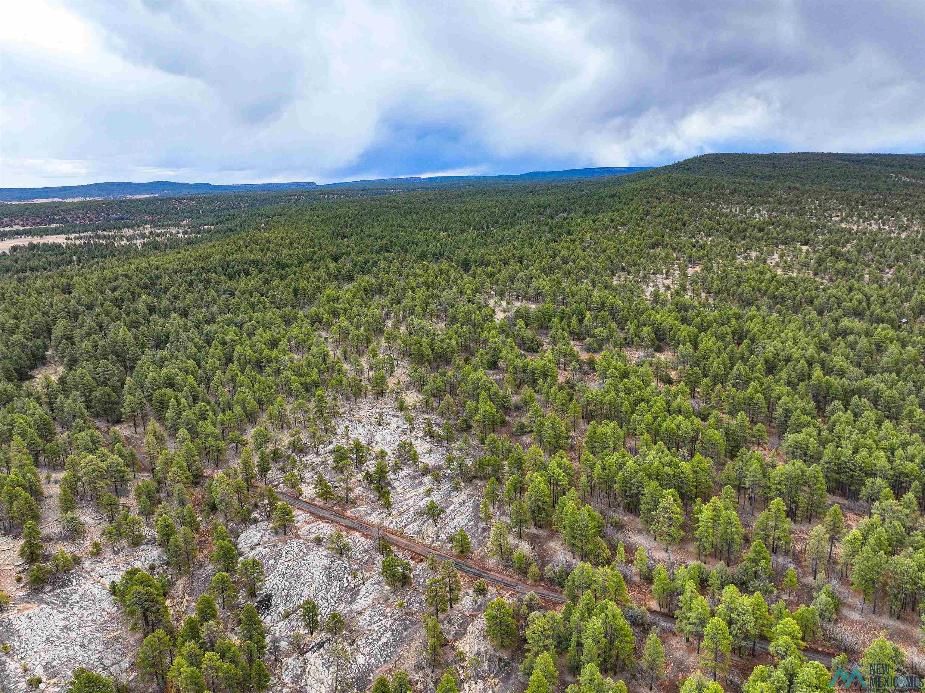 LOT 25A Forest 157 Road, Mcgaffey, Texas image 21