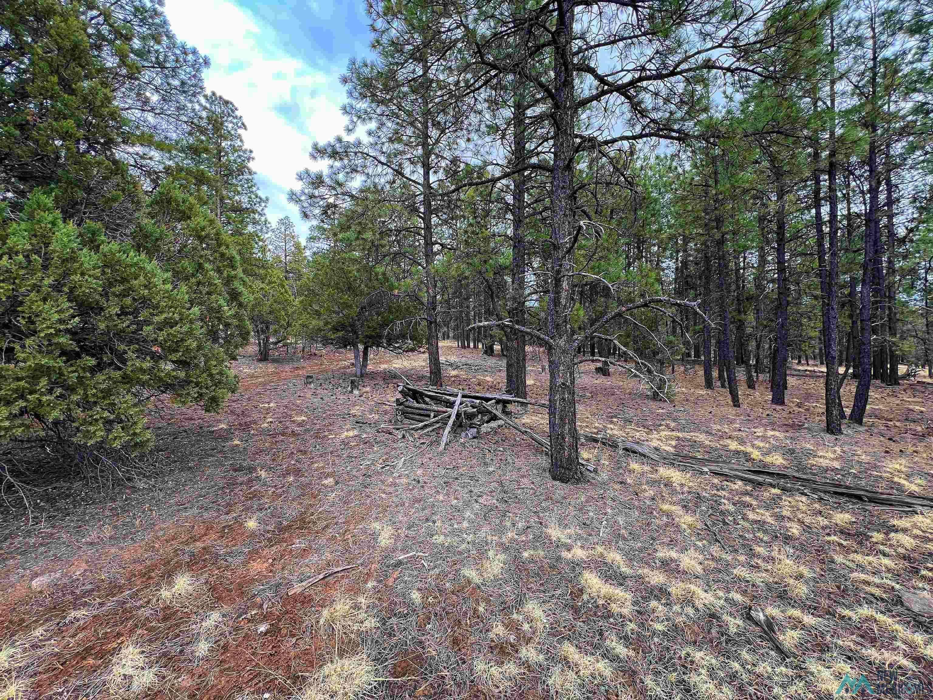 LOT 25A Forest 157 Road, Mcgaffey, Texas image 6