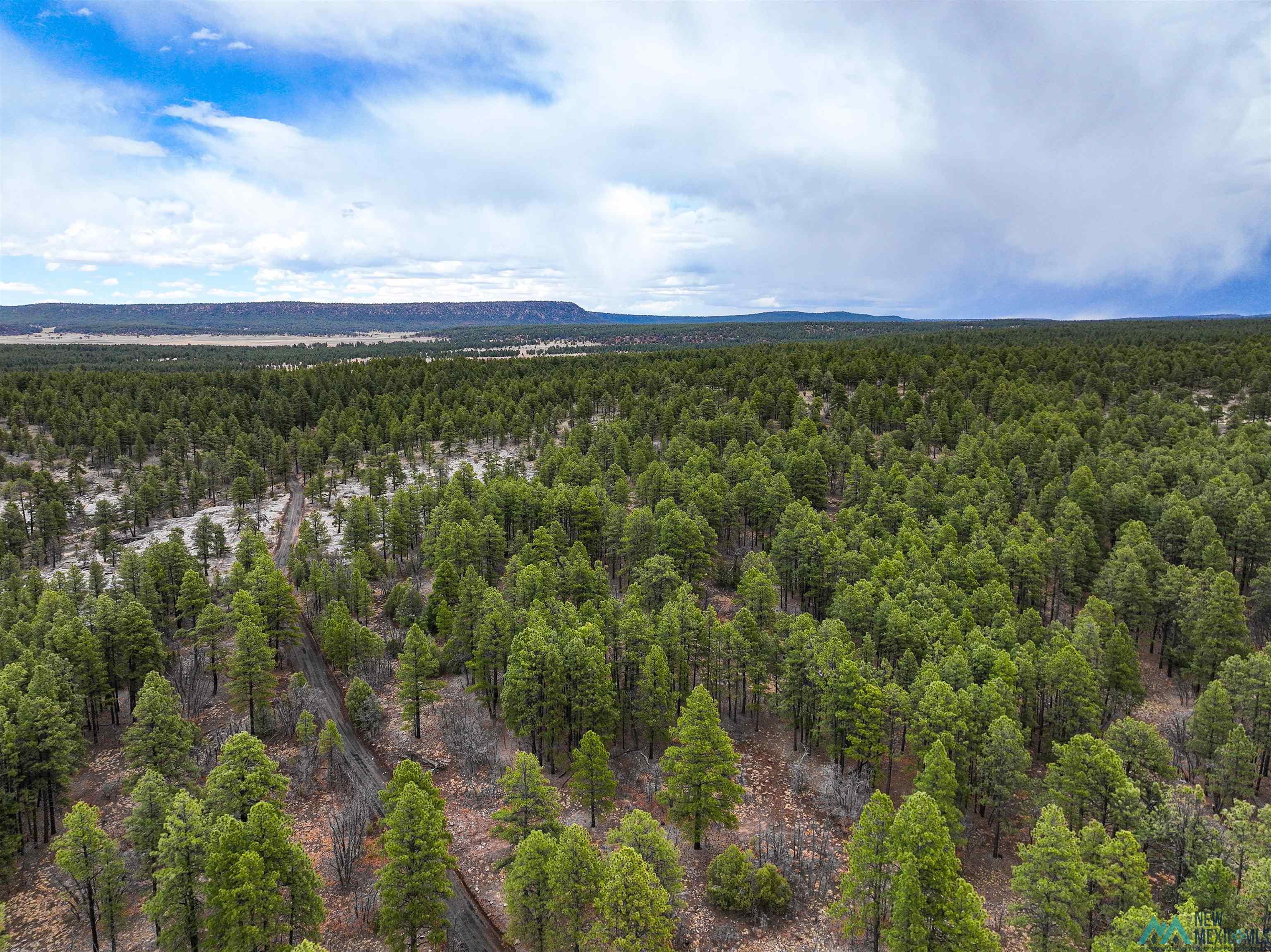 LOT 25A Forest 157 Road, Mcgaffey, Texas image 17