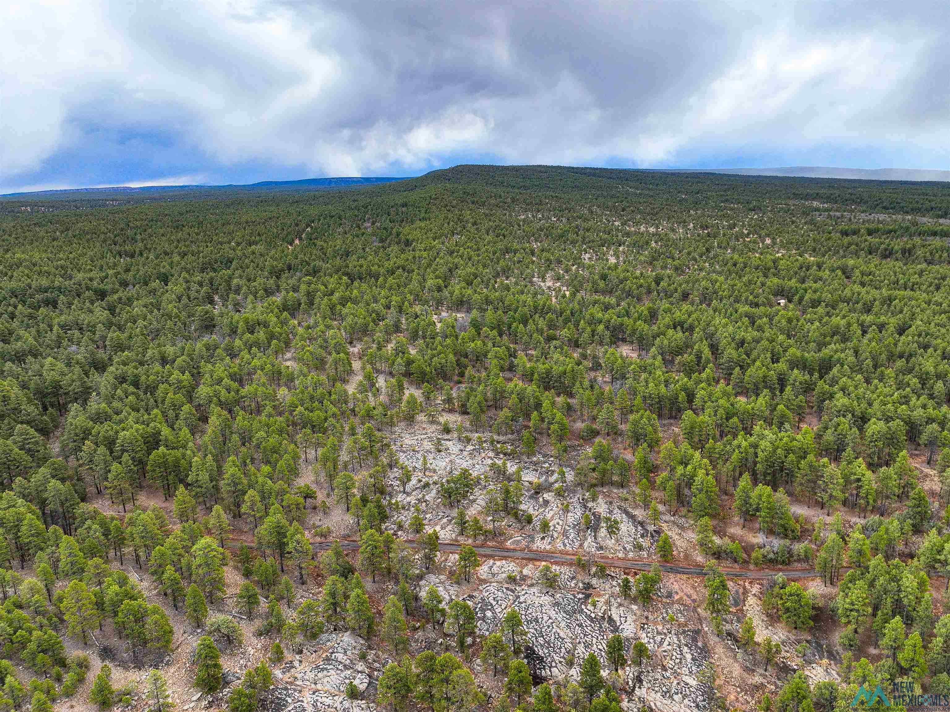 LOT 25A Forest 157 Road, Mcgaffey, Texas image 19