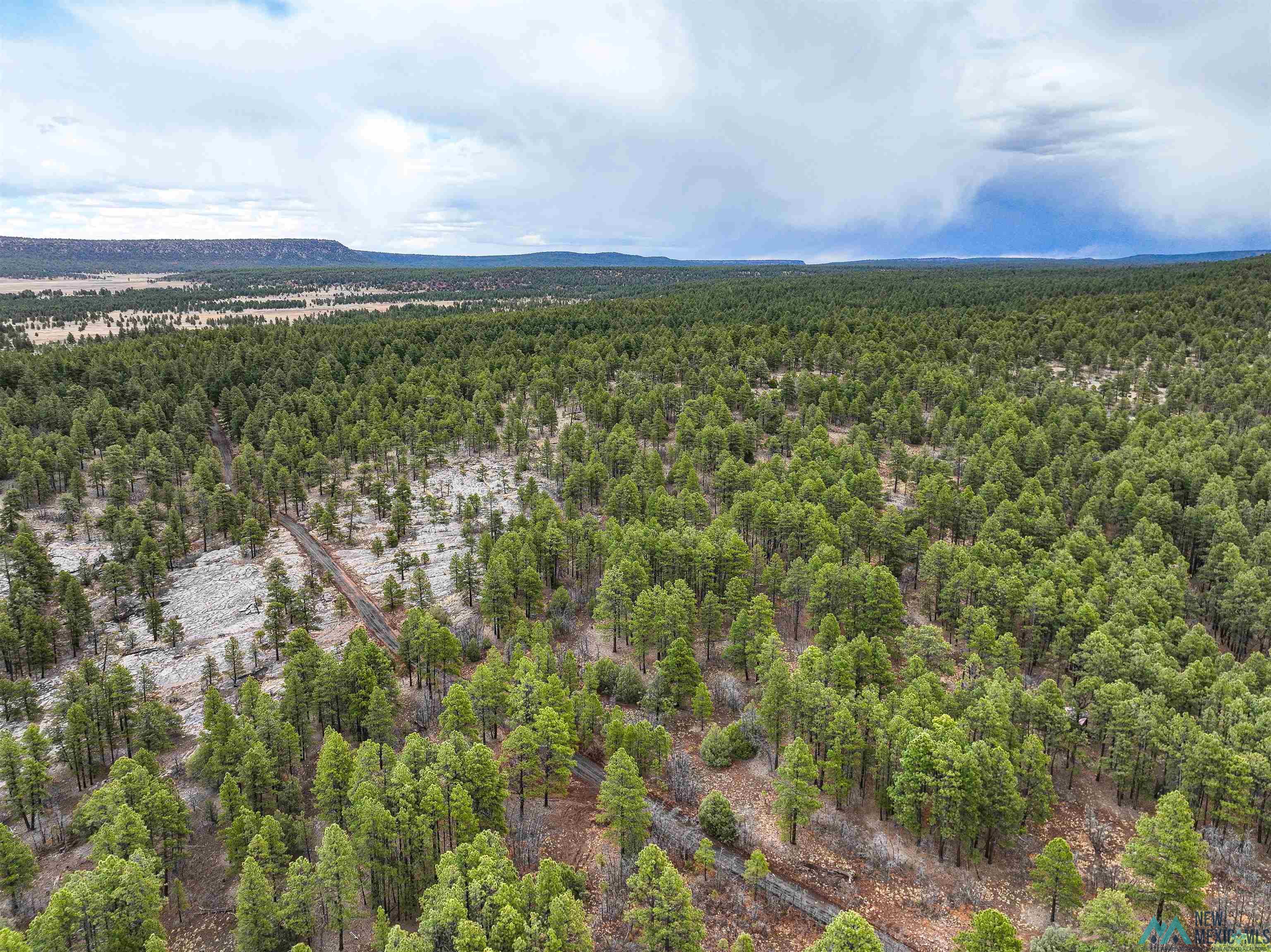LOT 25A Forest 157 Road, Mcgaffey, Texas image 16