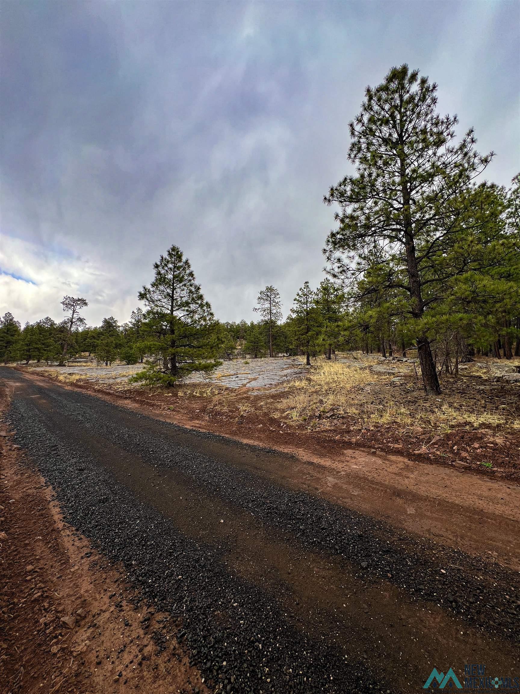 LOT 25A Forest 157 Road, Mcgaffey, Texas image 11