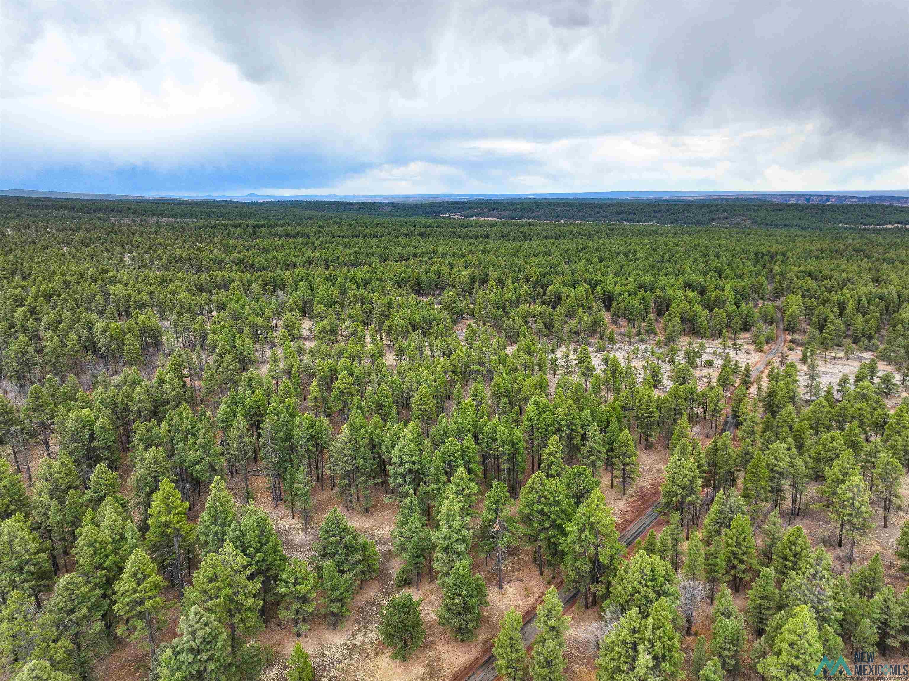 LOT 25A Forest 157 Road, Mcgaffey, Texas image 13