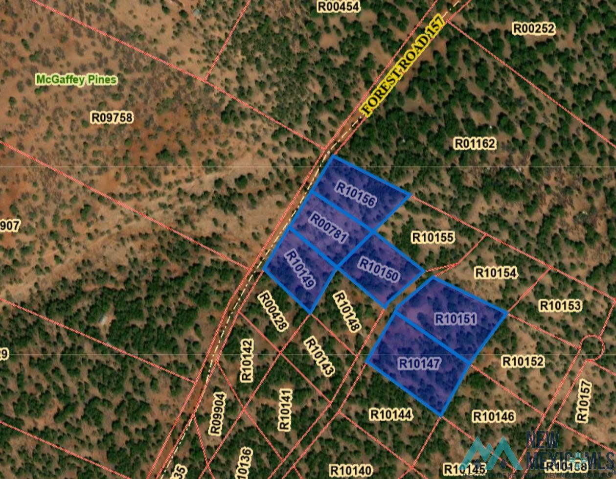 LOT 25A Forest 157 Road, Mcgaffey, Texas image 2