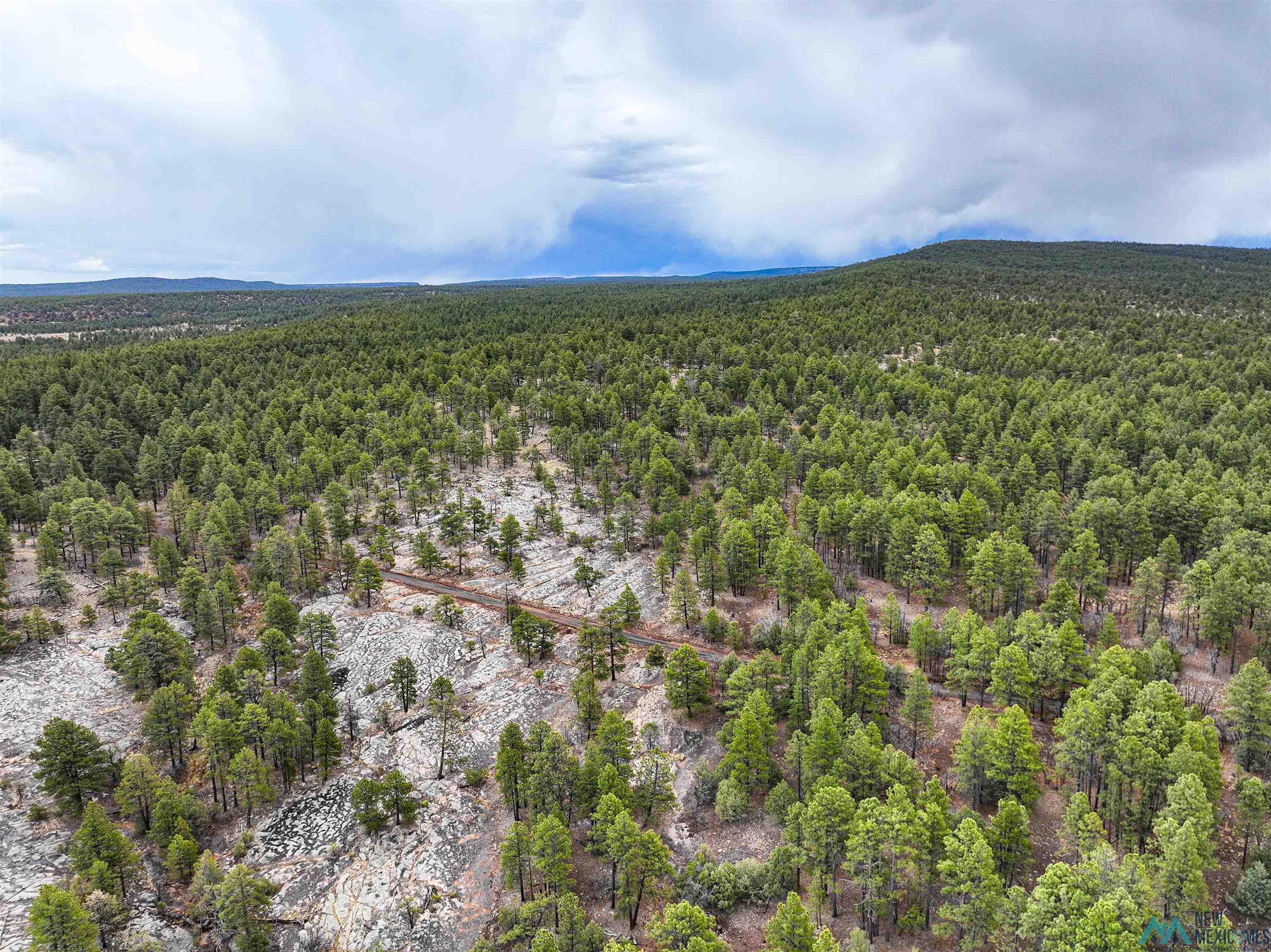 LOT 25A Forest 157 Road, Mcgaffey, Texas image 15