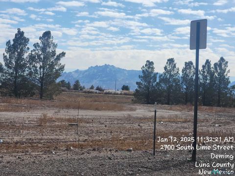 Vacant Land For Sale - 00 Camilia Street<br/> Luna County, Deming, NM 88030