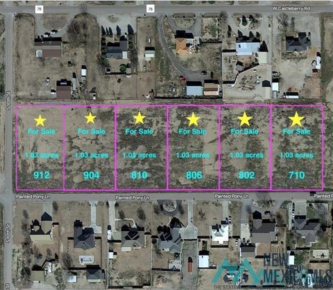 Vacant Land For Sale - 710 Painted Pony Lane<br/> Eddy County, Artesia, NM 88210