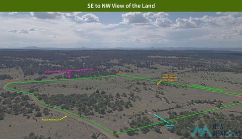 Vacant Land For Sale - County Road A079<br/> Pie Town, NM 87827