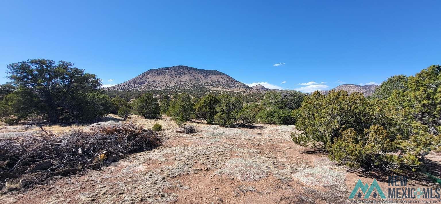 41 N Agua Fria Trail, Datil, Texas image 10