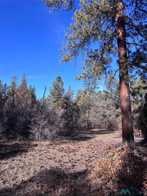 Vacant Land For Sale - TBD County Rd 292<br/> Rio Arriba County, Cebolla, NM 87518