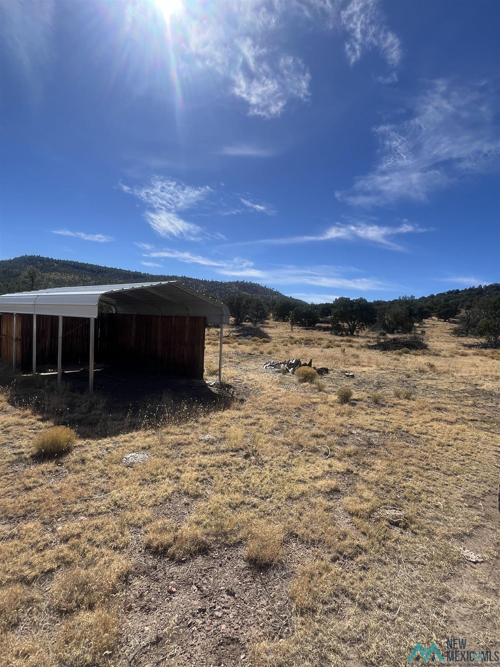 000 Forest Road 19 Road, Quemado, Texas image 27