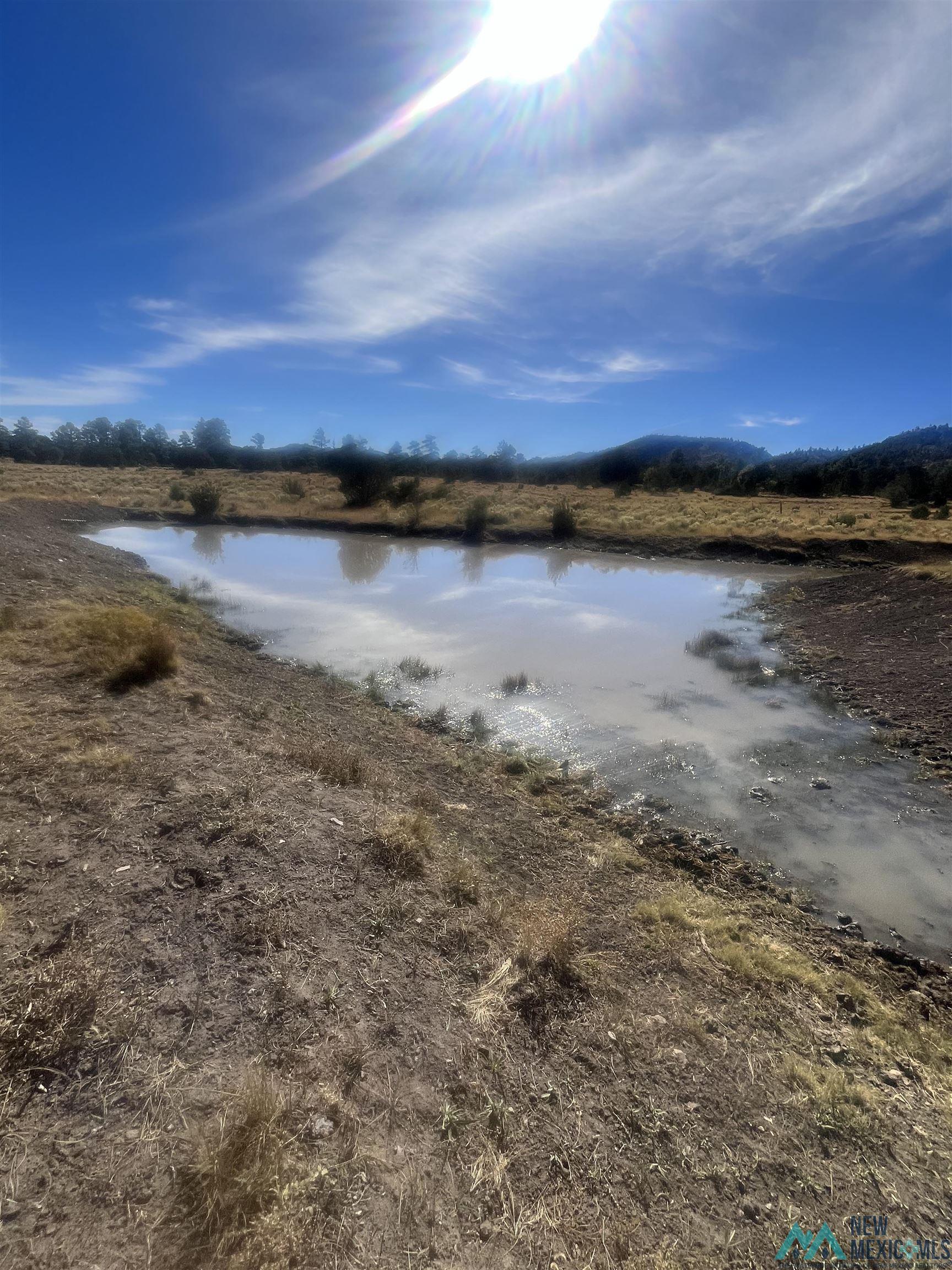 000 Forest Road 19 Road, Quemado, Texas image 6