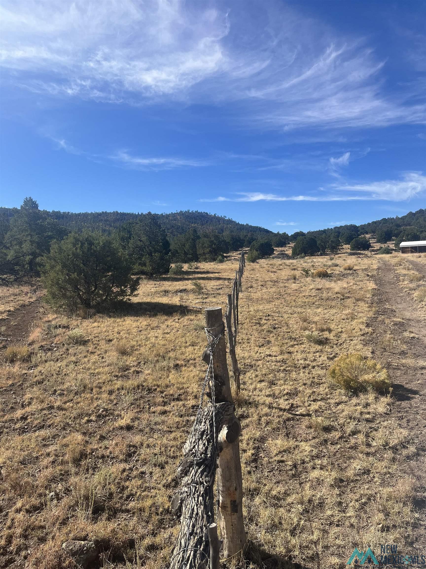 000 Forest Road 19 Road, Quemado, Texas image 7