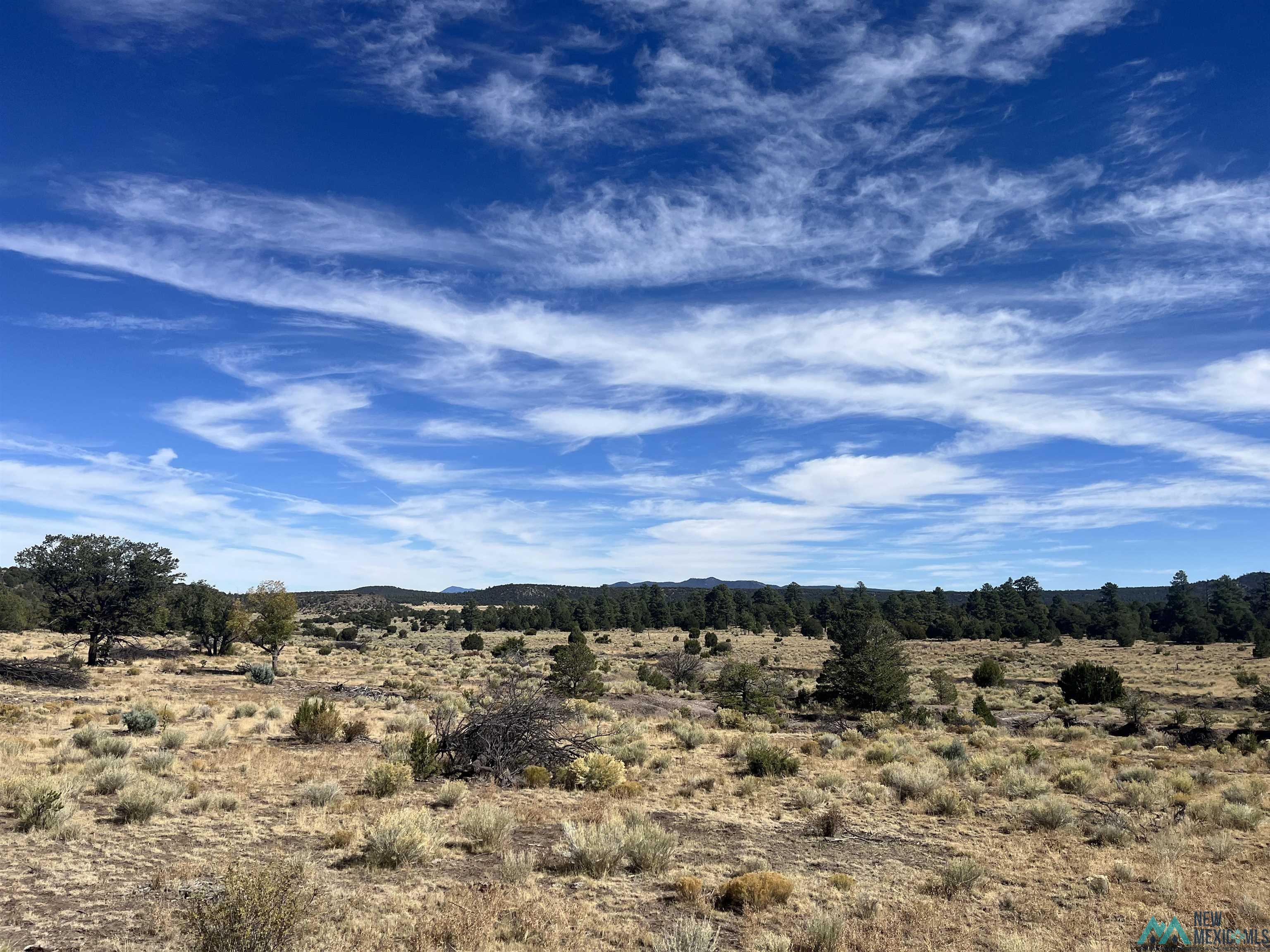 000 Forest Road 19 Road, Quemado, Texas image 31