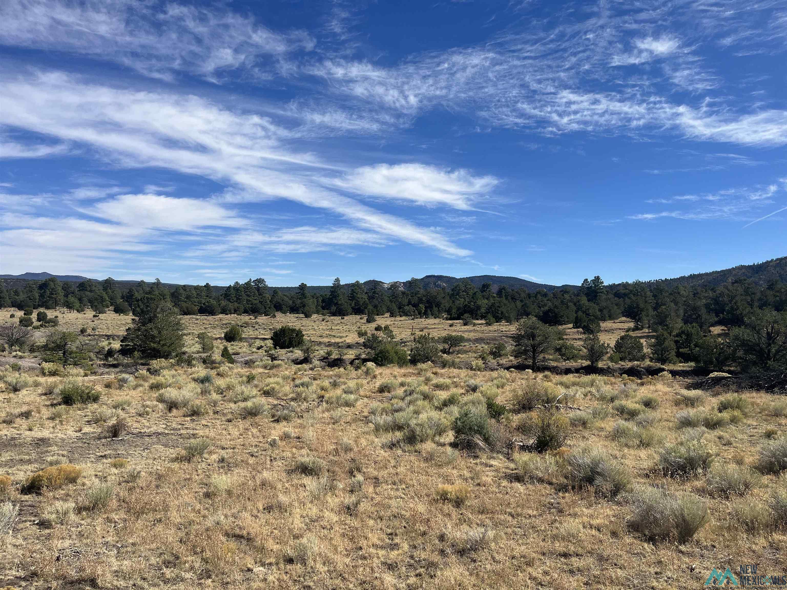 000 Forest Road 19 Road, Quemado, Texas image 30