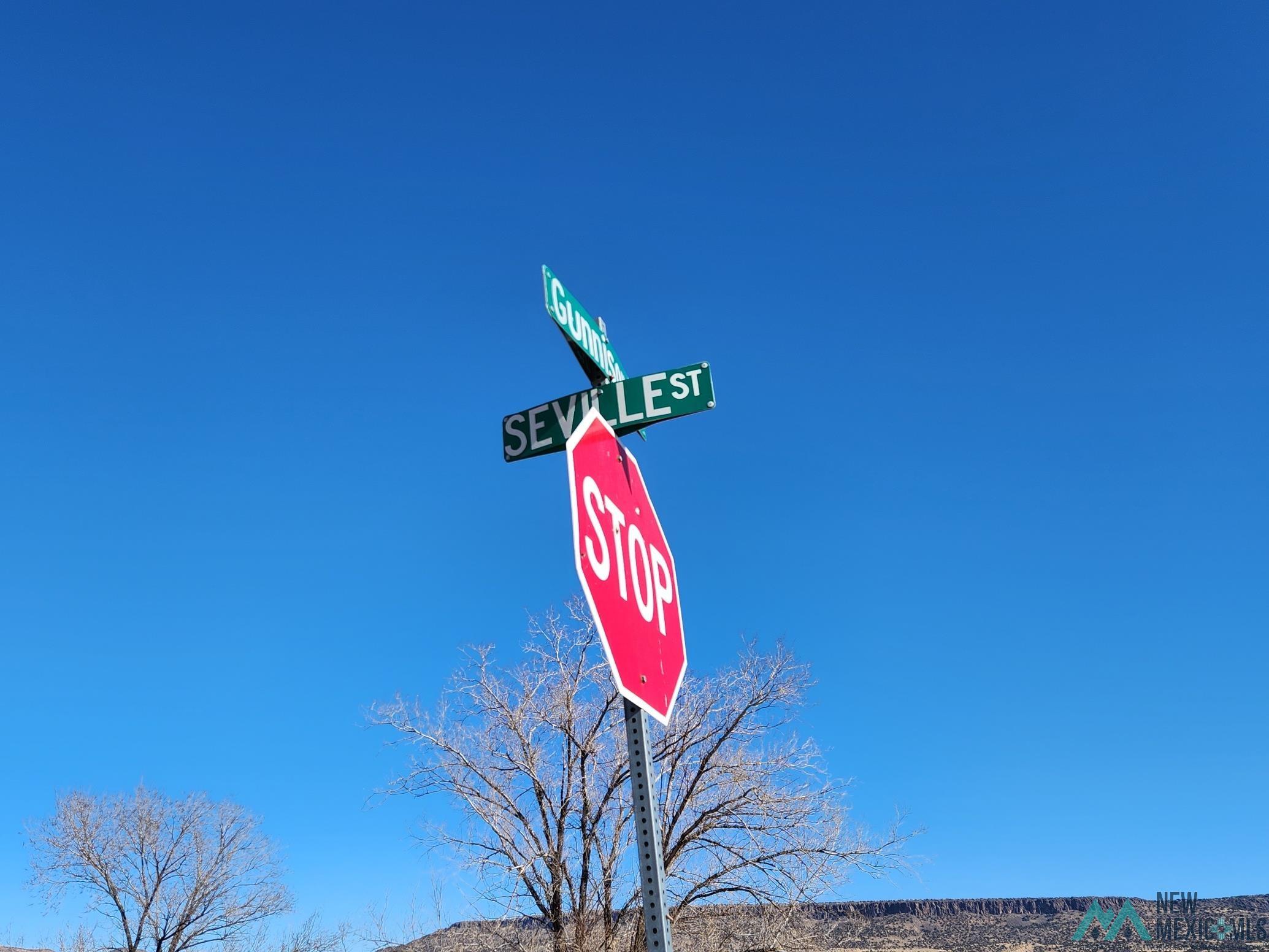 TBD Corner Of Gunnison/seville, Grants, Texas image 4