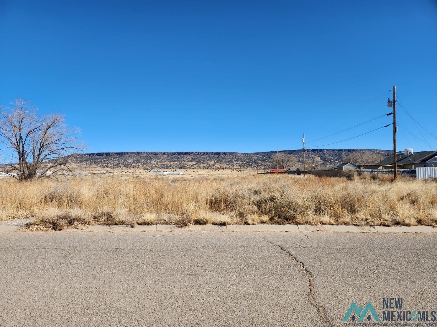 TBD Corner Of Gunnison/seville, Grants, Texas image 3