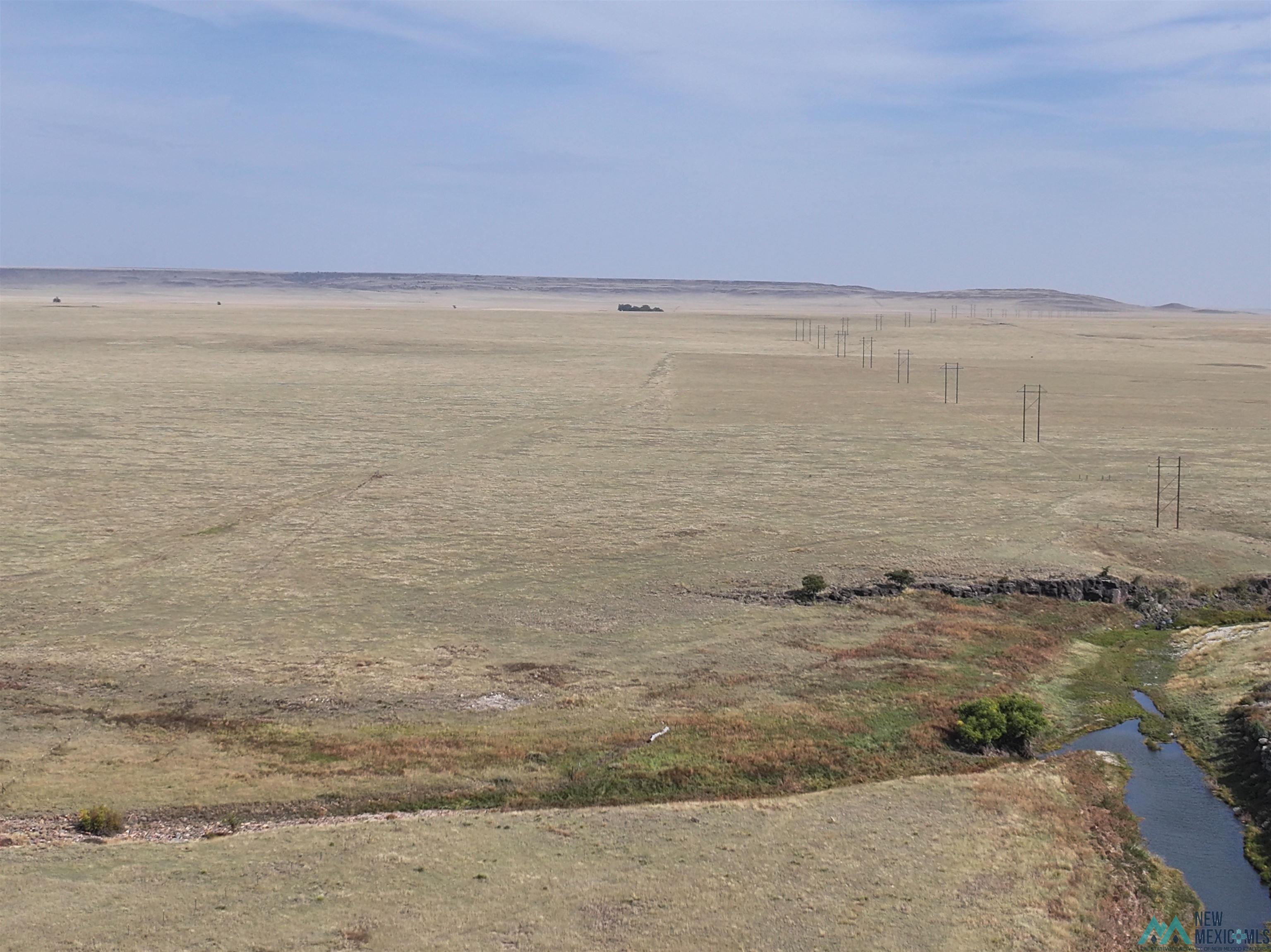 000 Tbd Road, Gladstone, Texas image 6